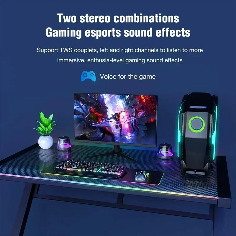 RGB Mini Portable Speaker